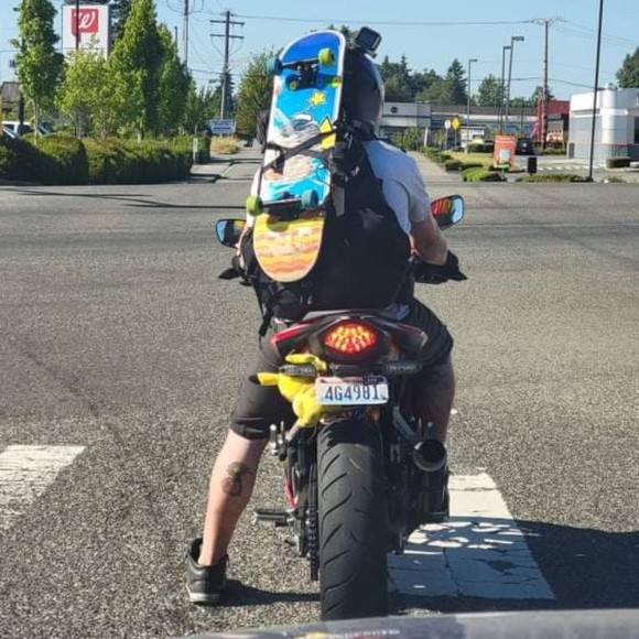 Meet your Posher, Posh - Picture 1 of 1